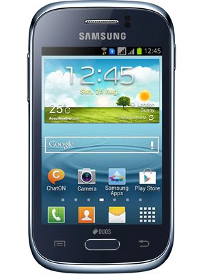 SamsungGalaxyYoung2Duosgri-2
