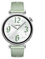 Huawei Watch GT4 AuroraB19FG