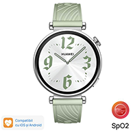 Huawei Watch GT4 AuroraB19FG Green Strap