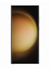 Samsung_S23_Ultra_512GB_CREAM_medium1